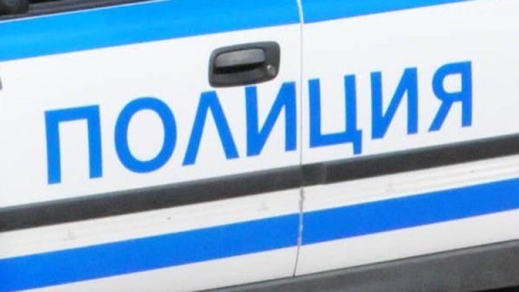 Охранител на нива рани ром край село Долни Цибър