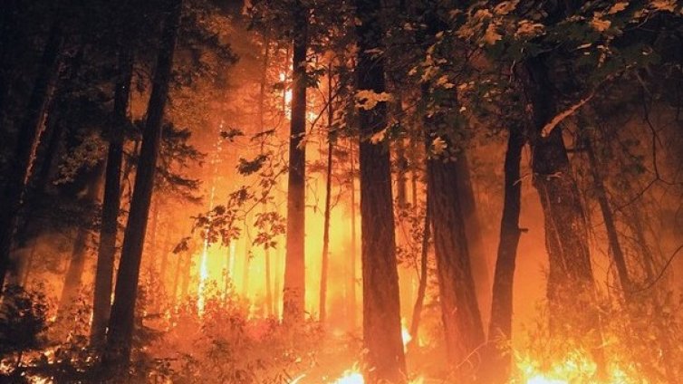 Очи в очи с огнената стихия