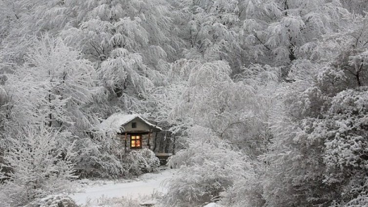 Да живееш без съседи