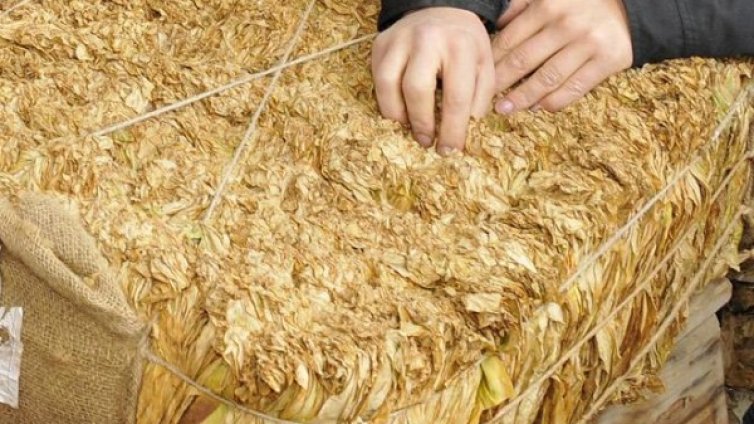 Полицията в Пловдив иззе 40 кг тютюн без платен акциз