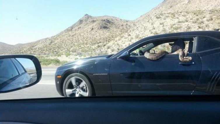 Чешити на пътя. Меко казано...