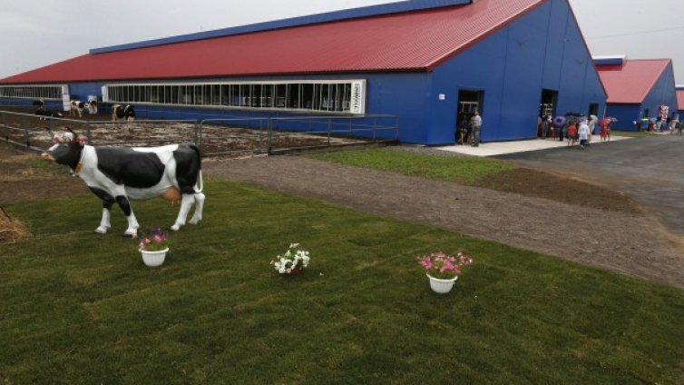 В Русия обсъждат вноса на китайци