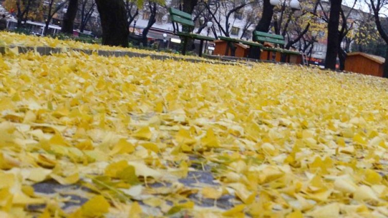 През нощта ще завали в Западна България, утре навсякъде