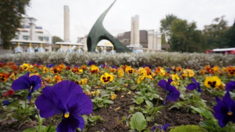 Избраха Варна за Европейска младежка столица за 2017г.