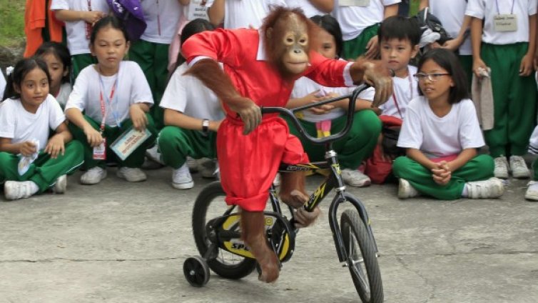 Денят в снимки