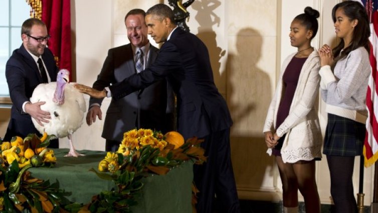 Обама "амнистира" две пуйки за Деня на благодарността