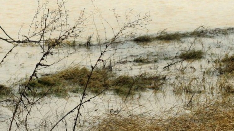 Евакуират превантивно хората в бургаската местност "Черниците"