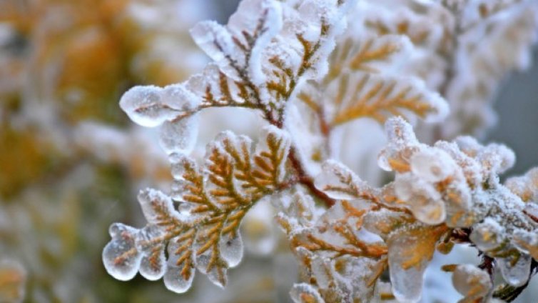 Утре пак дъжд, на места с условия за поледици