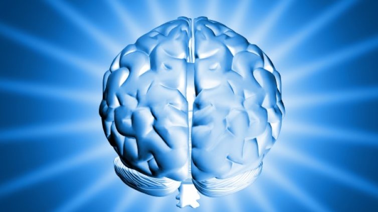 Защо селективната памет ни е необходима?