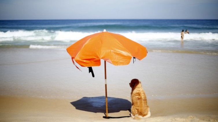 Преди да тръгнем на работа, да помислим за почивка