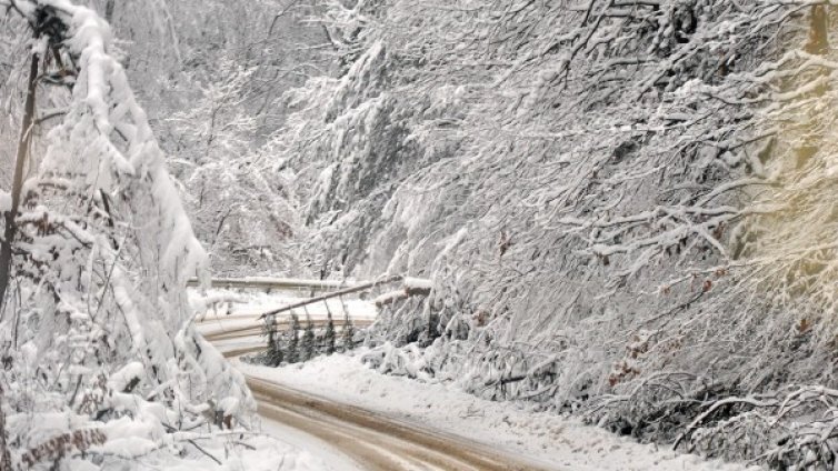 Пациент почина в бедстваща линейка в Монтанско