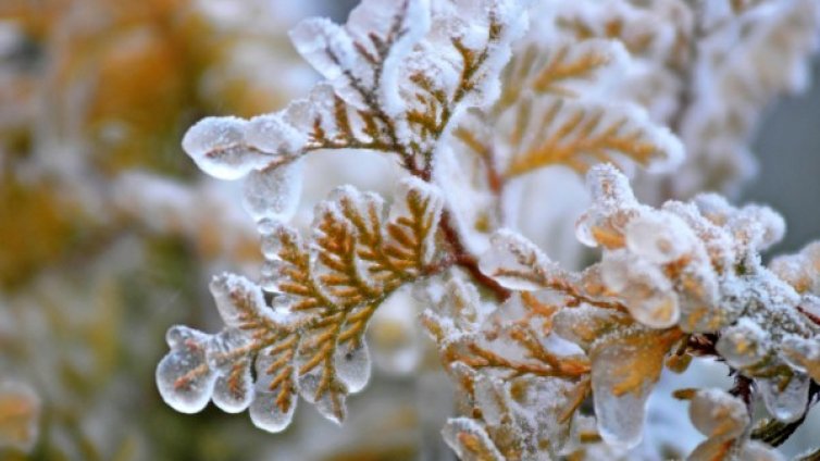 Утре със силен вятър иде още студено време 