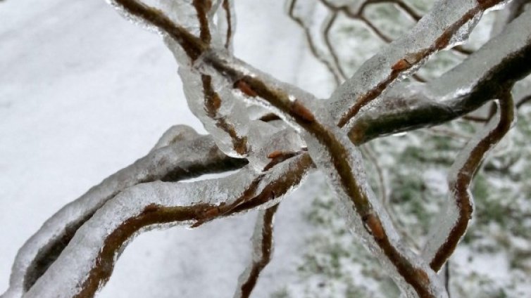 Минус 27&deg; сковаха Мусала, Северна България се смръзна