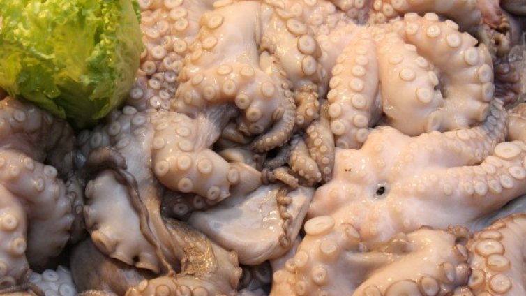 Ужасяващи храни, смятани за деликатес