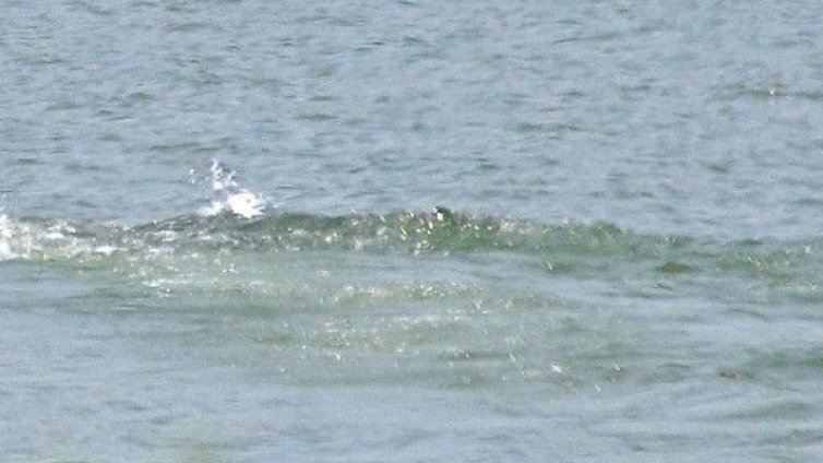 Намериха тялото на младежа, който се удави в Сандански