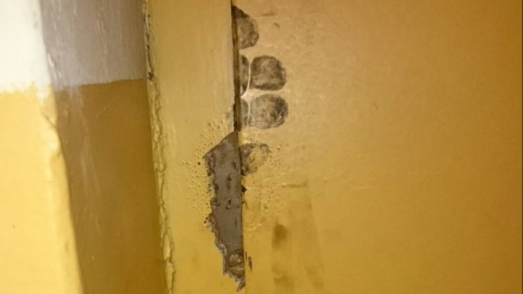 Загиналият в асансьора сам отворил блокираната врата с отвертка 