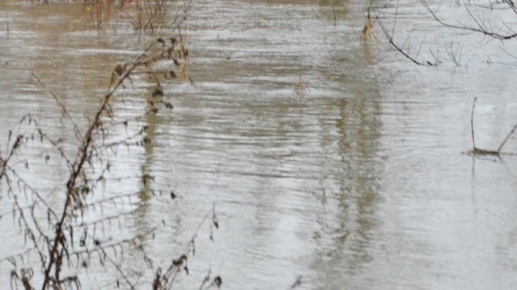 МОСВ: Установиха замърсяване на река Маданска