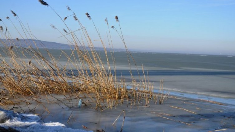 Февруари ще е на контрастите: Обилен сняг или до 20 градуса