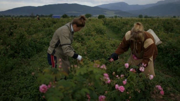 Българската икономика изплаща грешки отпреди 2009 г.