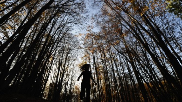 Откриха неизвестна теория досега на Нютон