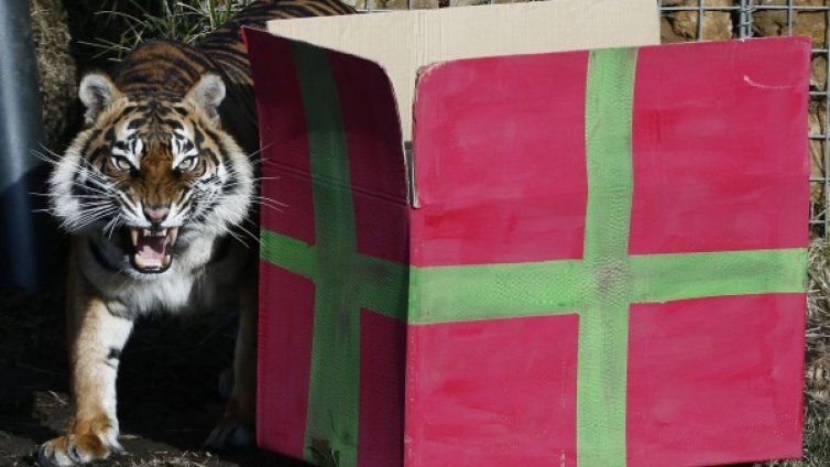 Денят в снимки