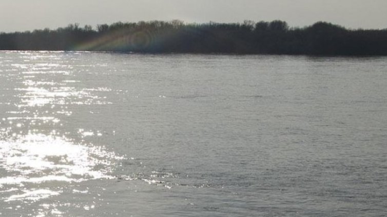 Проверяват сигнал за мазно петно по Дунав