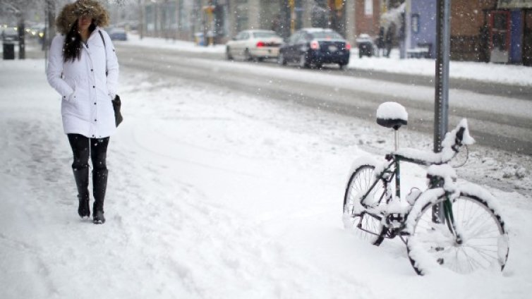 Над 1600 полета бяха отменени в САЩ заради снежна буря
