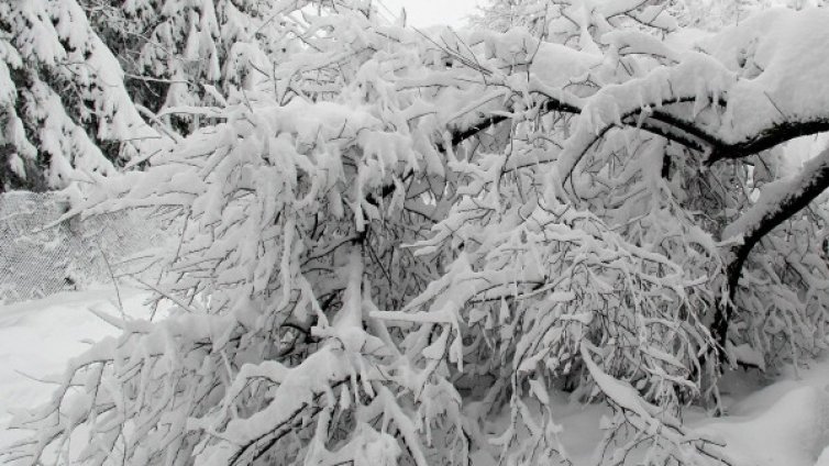 Снегът прекъсна движението на влакове в 6 участъка