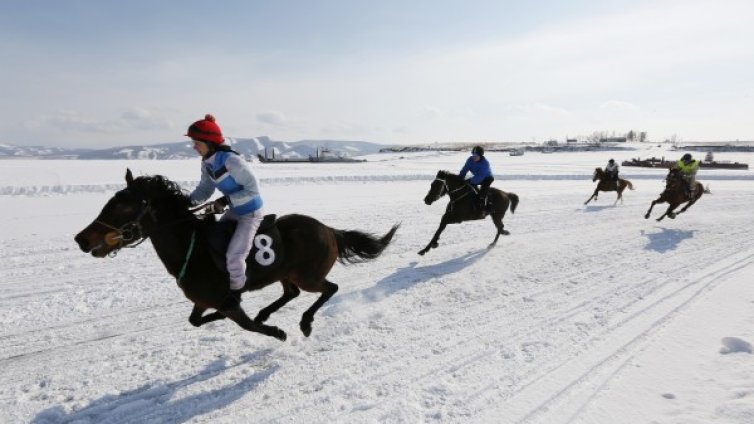 Денят в снимки