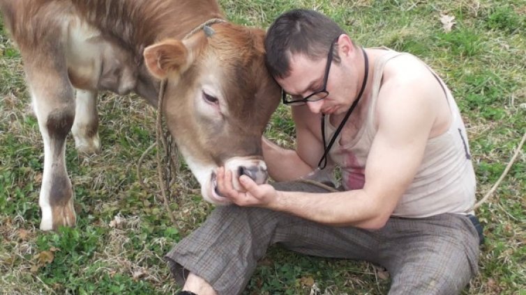 Бичето иска да ви "прецунка" паричките