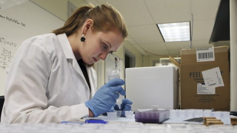 Фолиевата киселина предпазва от инсулт