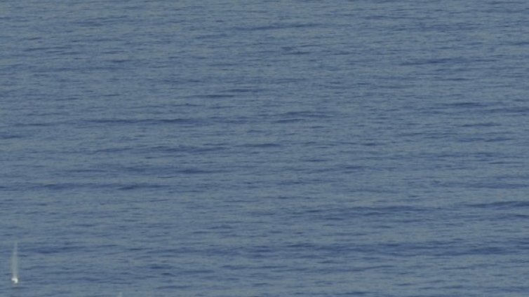 "Далний восток" потънал заради мрежа със 100-тонен улов