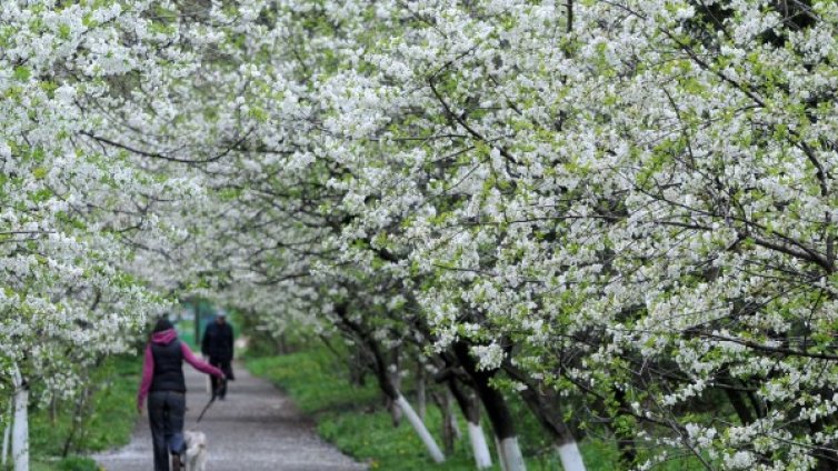 Зимата си тръгва утре, за Великден &ndash; пролет