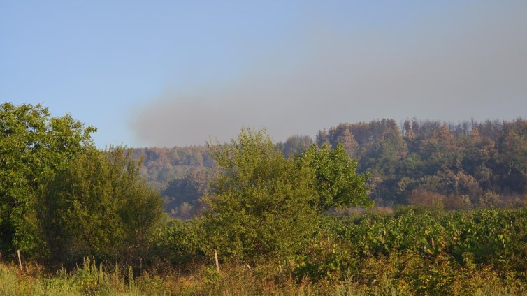 Общо 135 пожара са загасени през последното денонощие