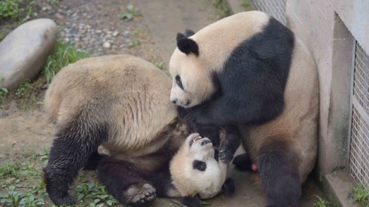 Денят в снимки