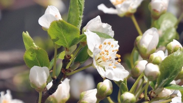 Утре по-хладно и с дъждец