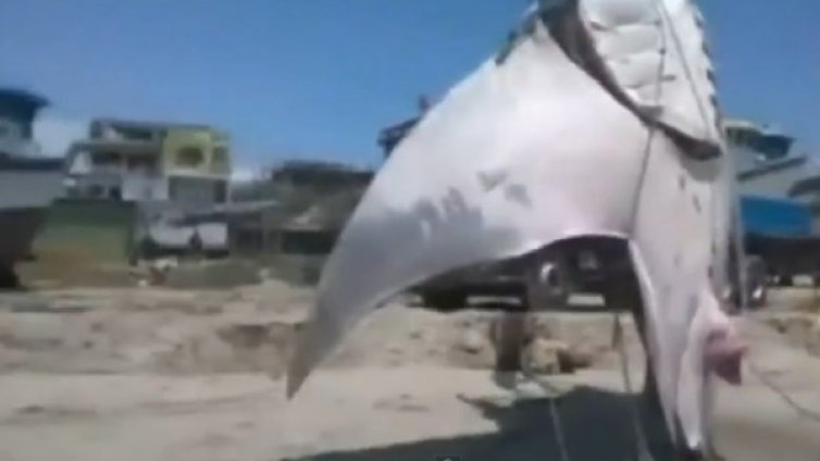 Голям рибар голяма риба хвана