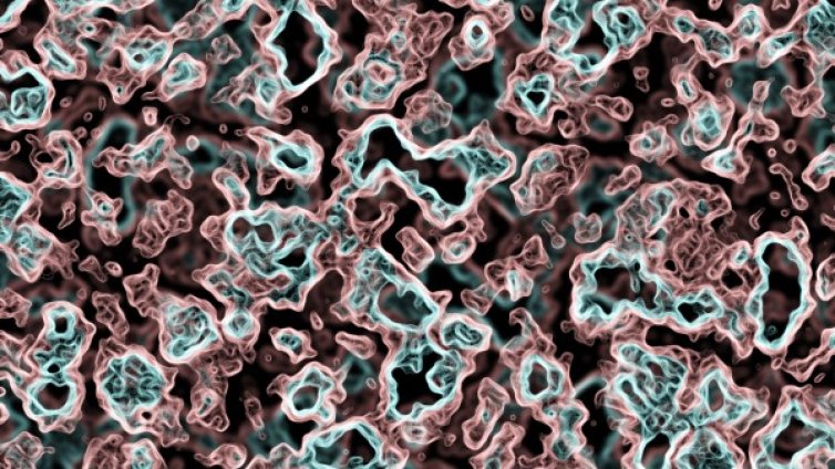 Любопитно за бактериите: На "Титаник" му остават 20 г. 