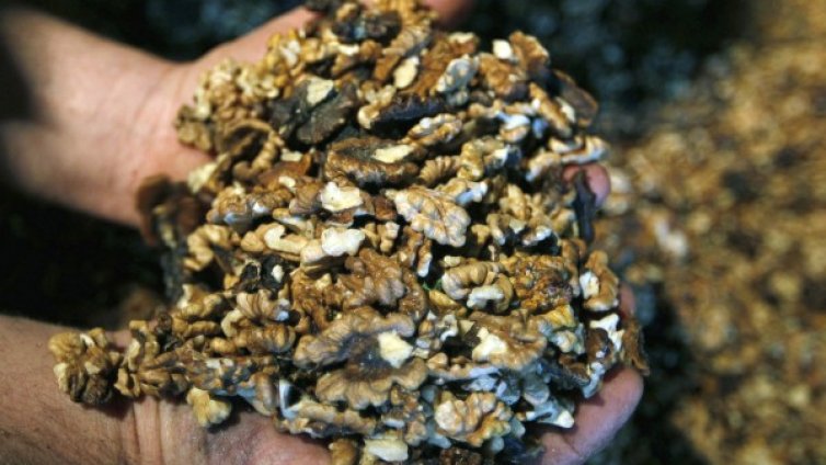 Орехи срещу рак на дебелото черво