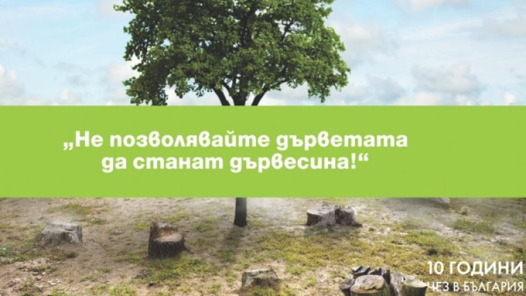 ЧЕЗ обявява фотоконкурс "Не позволявайте дърветата да станат дървесина"