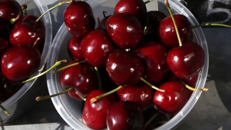 Консумацията на череши и вишни подпомага сърцето