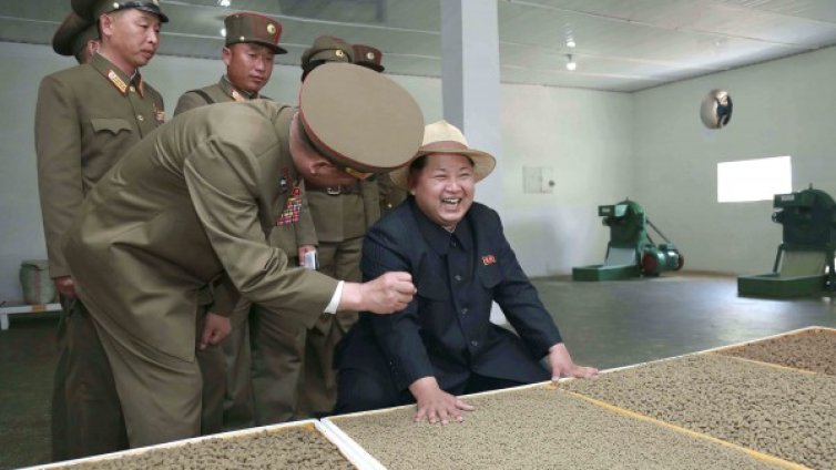 Сестрата на Ким Чен Ун е станала майка