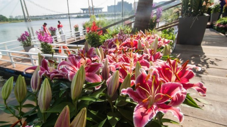 Денят в снимки