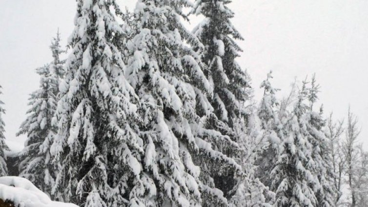 Връх Миджур посрещна лятото със сняг 