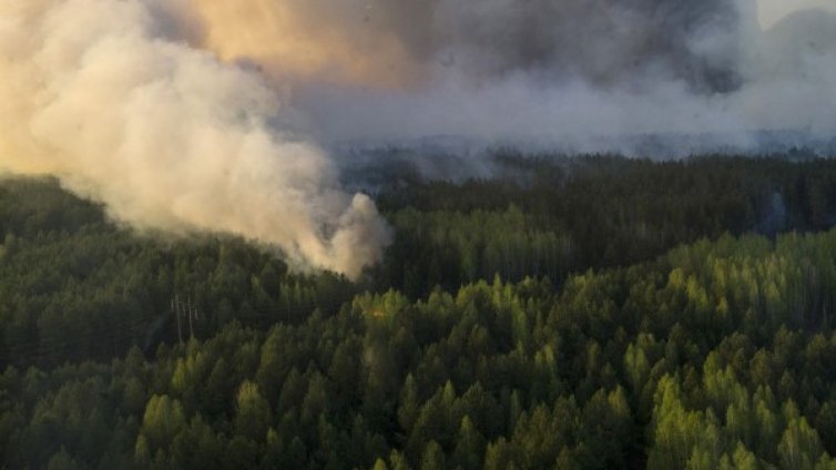Горски пожар бушува край Чернобил