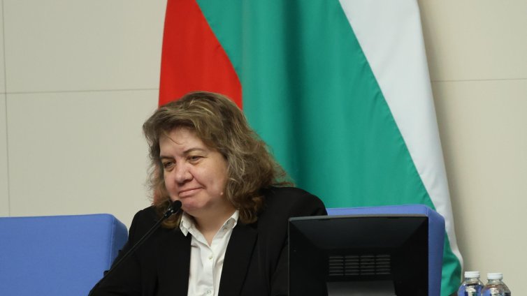 Киселова: Според мен КС ще допусне частично искането на Радев