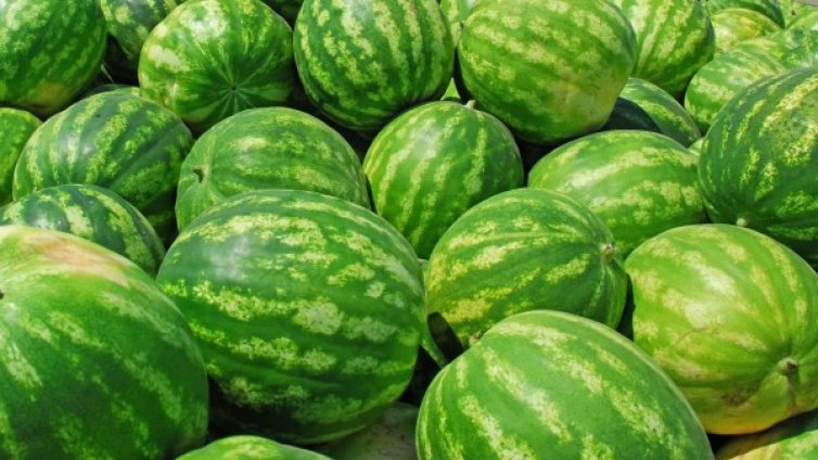 Домати, дини, пъпеши... с 30% по-евтини