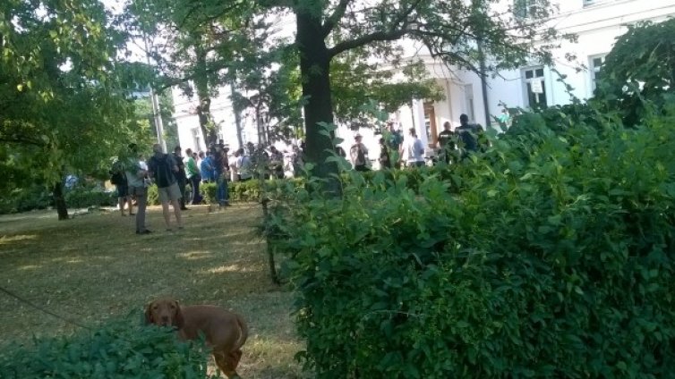 Протестъри на по кафе пред НС, а за депутатите – домати