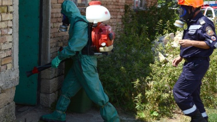 Бик със съмнение за антракс умря в с. Млада гвардия