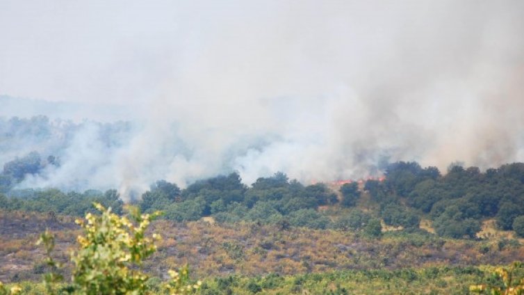 Локализираха пожара край хасковското село Брягово